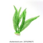 09041o